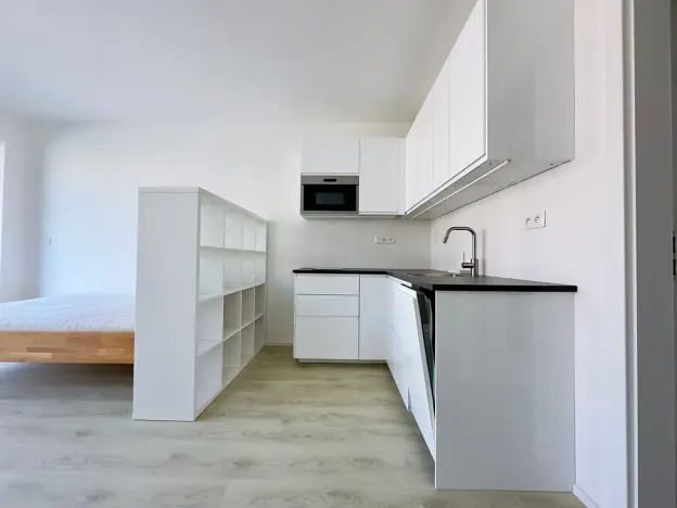 Pronájem bytu 1+kk, Brno, Lidická, 28 m2