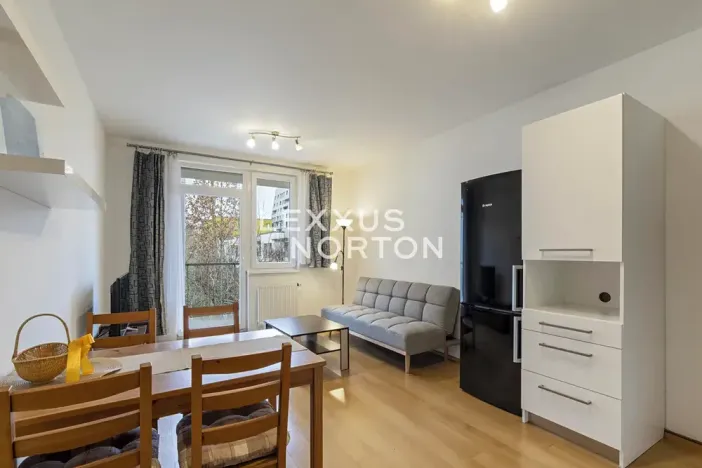 Pronájem bytu 2+kk, Praha - Vysočany, Pod Harfou, 46 m2