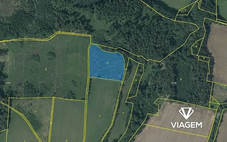 Prodej lesa, Mohelnice, 9122 m2