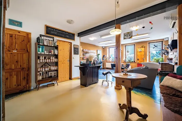 Prodej vícegeneračního domu, Brno, Otakara Ševčíka, 190 m2