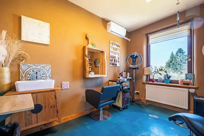 Prodej vícegeneračního domu, Brno, Otakara Ševčíka, 190 m2