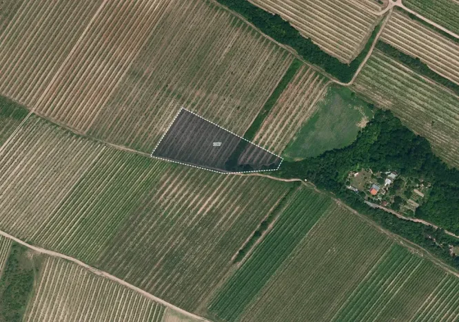 Prodej pole, Nový Šaldorf-Sedlešovice, 7256 m2