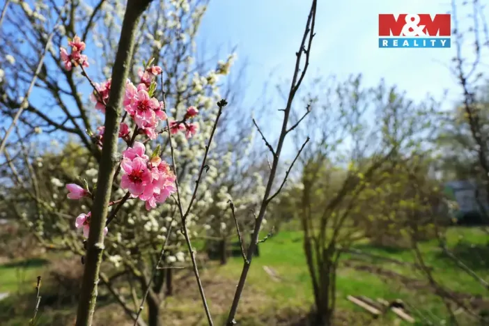 Prodej zahrady, Čáslav, 270 m2