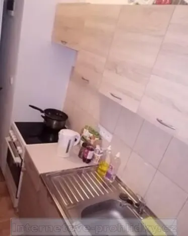 Pronájem bytu 1+1, Děčín, Na Pískách, 30 m2