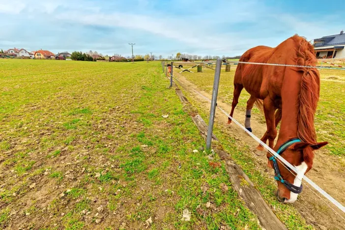 Prodej pozemku pro bydlení, Krmelín, 2760 m2