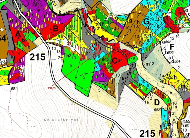 Dražba lesa, Žižkovo Pole, 8330 m2
