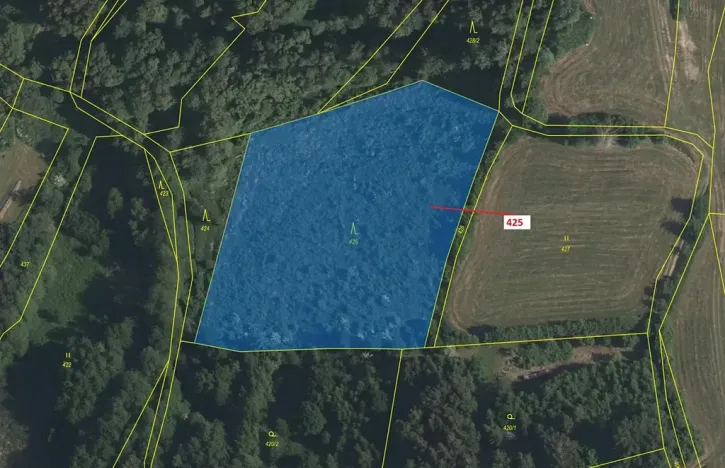 Dražba lesa, Strmilov, 7499 m2