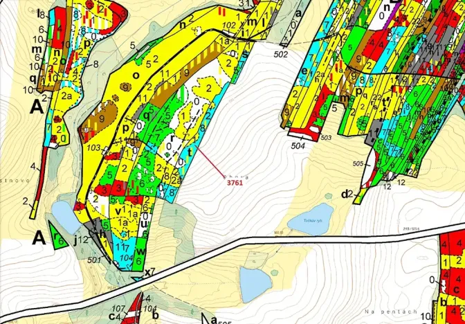 Dražba lesa, Strmilov, 9243 m2