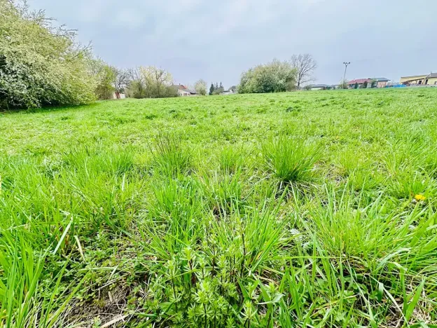 Prodej pozemku pro bydlení, Dlouhá Lhota, 3560 m2