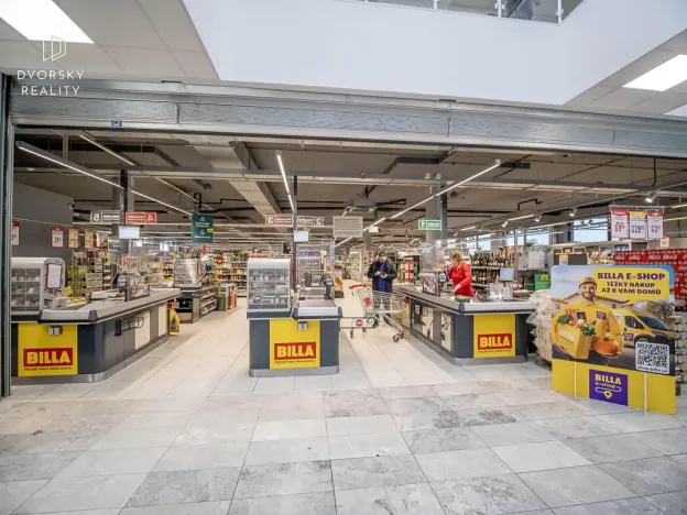 Prodej obchodního prostoru, Mladá Boleslav, Mileny Hážové, 4857 m2