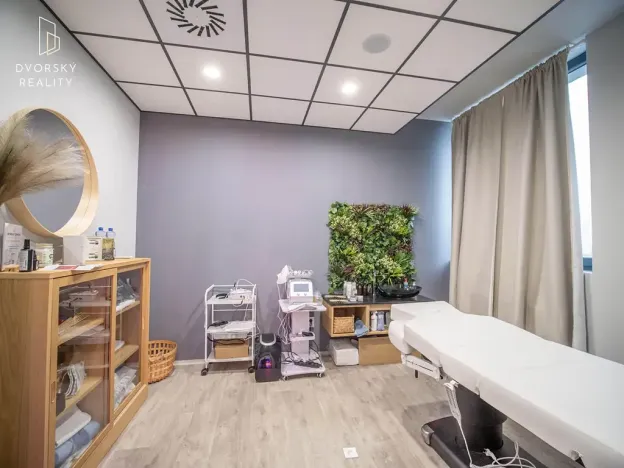 Prodej obchodního prostoru, Mladá Boleslav, Mileny Hážové, 4857 m2