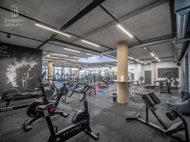 Prodej obchodního prostoru, Mladá Boleslav, Mileny Hážové, 4857 m2