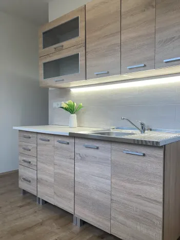 Pronájem bytu 2+1, Chomutov, Holešická, 62 m2