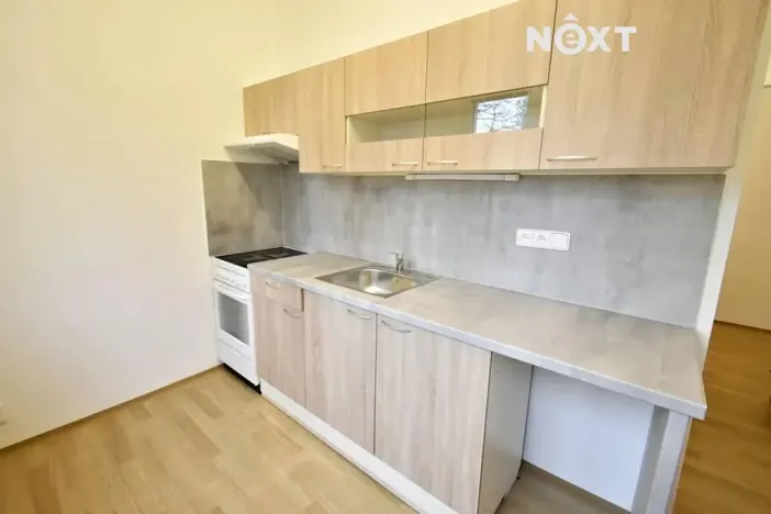 Pronájem bytu 3+1, Brno, Jílová, 55 m2