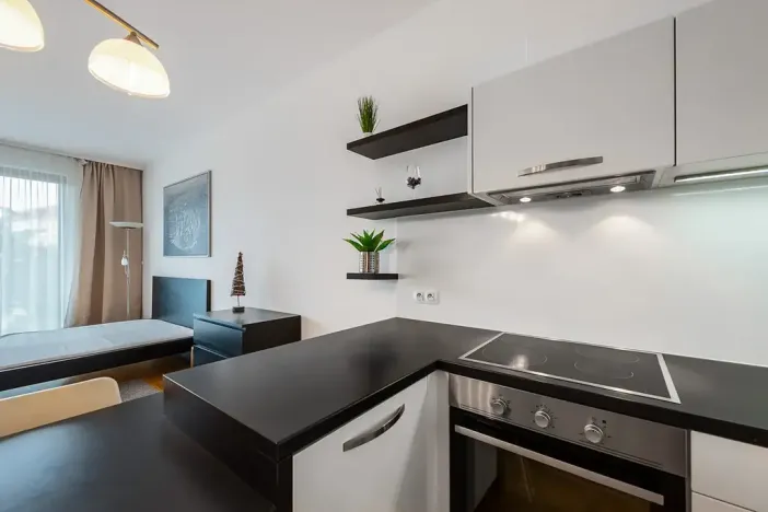 Pronájem bytu 1+kk, Praha - Vinohrady, Korunní, 47 m2