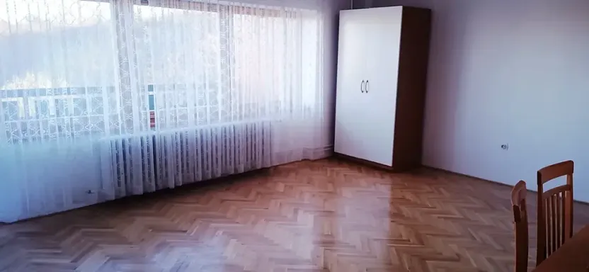 Pronájem bytu 1+1, Praha - Smíchov, Děvínská, 52 m2