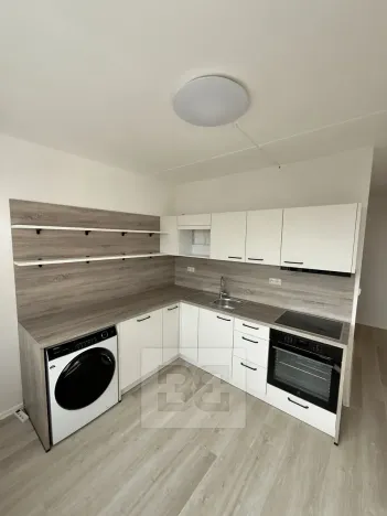 Pronájem bytu 2+1, Slaný, Vikova, 59 m2