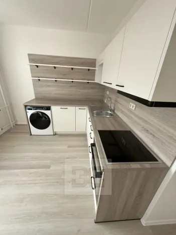 Pronájem bytu 2+1, Slaný, Vikova, 59 m2