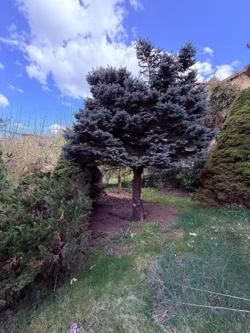 Pronájem rodinného domu, Praha - Braník, U dubu, 200 m2