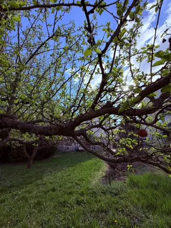 Pronájem rodinného domu, Praha - Braník, U dubu, 200 m2