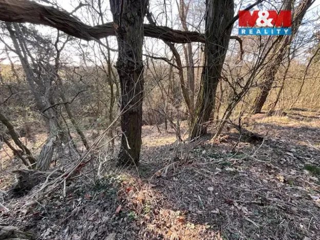 Prodej pozemku pro bydlení, Škvorec, Na Pazderně, 3021 m2