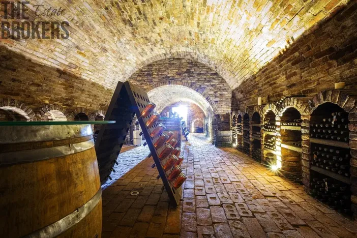 Prodej ubytování, Březí, Na štěrkách, 333 m2