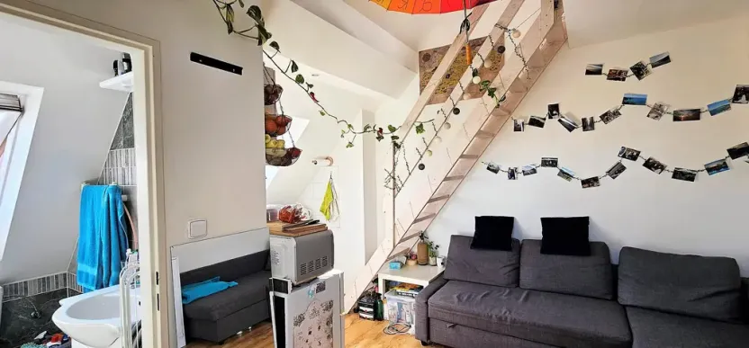 Pronájem bytu 2+kk, Brno - Černovice, Řehořova, 26 m2