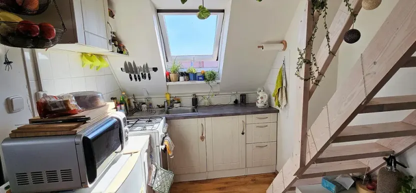 Pronájem bytu 2+kk, Brno - Černovice, Řehořova, 26 m2