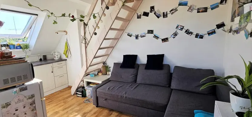 Pronájem bytu 2+kk, Brno - Černovice, Řehořova, 26 m2