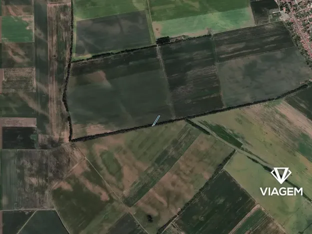 Prodej pole, Prušánky, 621 m2