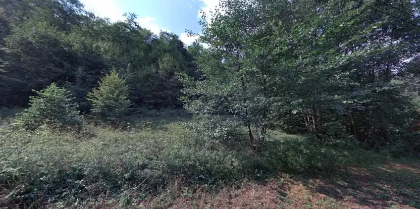 Prodej louky, Černá Voda, 4533 m2