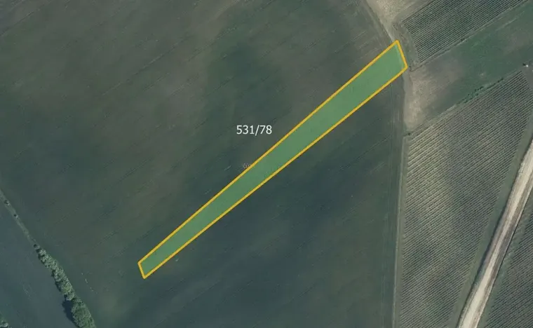 Prodej pole, Nový Poddvorov, 18463 m2