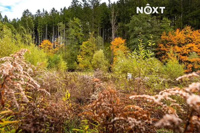 Prodej pozemku pro bydlení, Kaplice, 504 m2