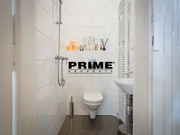 Pronájem bytu 5+1, Praha - Staré Město, Na Perštýně, 197 m2