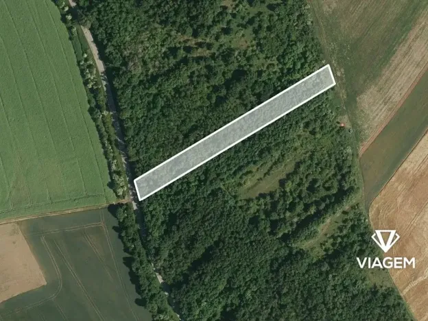 Prodej lesa, Silůvky, 3372 m2