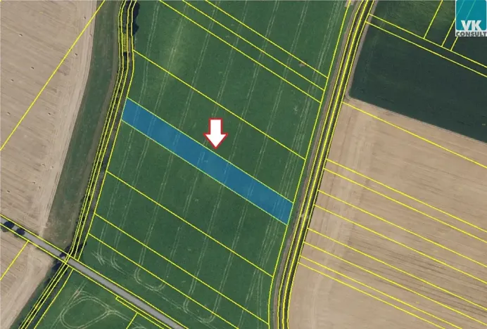 Prodej pole, Šebetov, 10702 m2