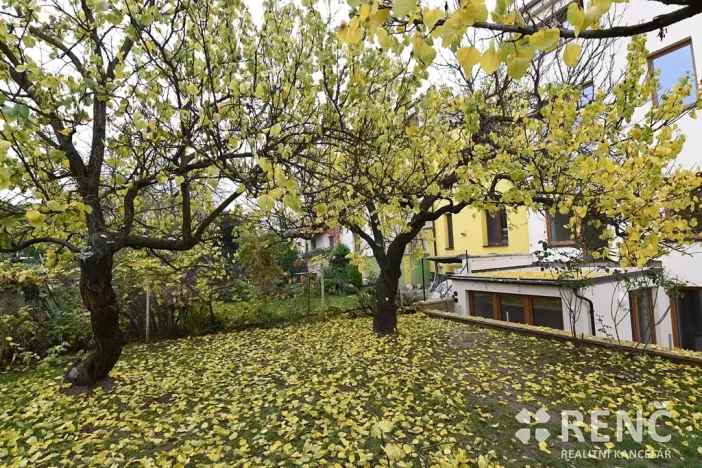 Pronájem bytu 3+kk, Brno, Churého, 61 m2