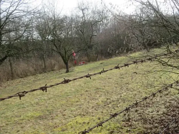 Dražba pole, Měrovice nad Hanou, 1943 m2