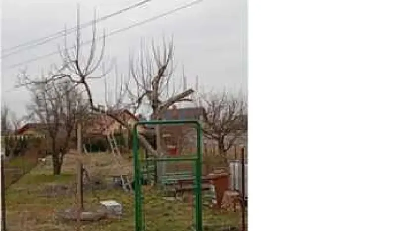 Dražba rodinného domu, Nezamyslice, Švermova, 70 m2