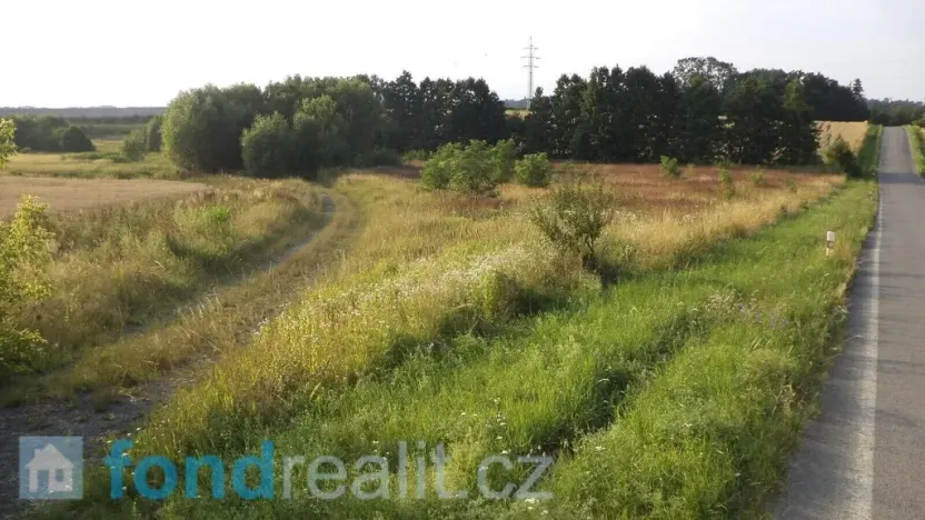 Prodej pozemku, Pustějov, 9886 m2