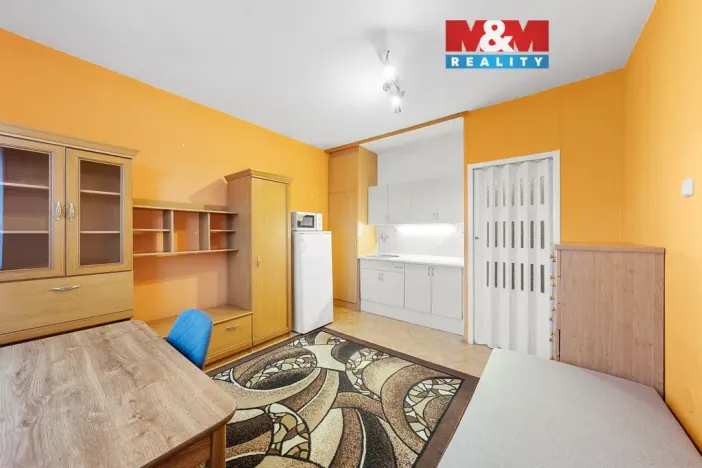 Prodej bytu 1+kk, Děčín - Děčín III-Staré Město, Litoměřická, 19 m2