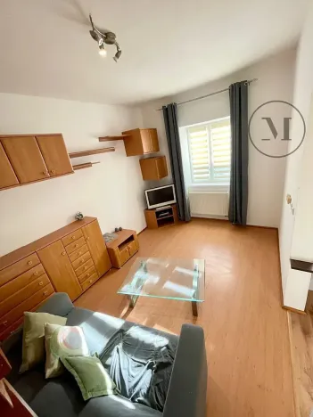 Pronájem bytu 1+1, České Budějovice, 30 m2