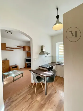 Pronájem bytu 1+1, České Budějovice, 30 m2