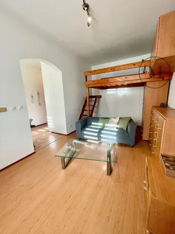 Pronájem bytu 1+1, České Budějovice, 30 m2