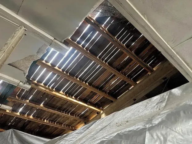 Prodej komerční nemovitosti, Jedlová, 1346 m2