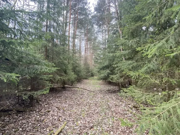 Prodej pozemku, Volfířov - Brandlín, 5958 m2