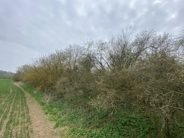 Prodej pozemku, Štětí - Brocno, 273 m2