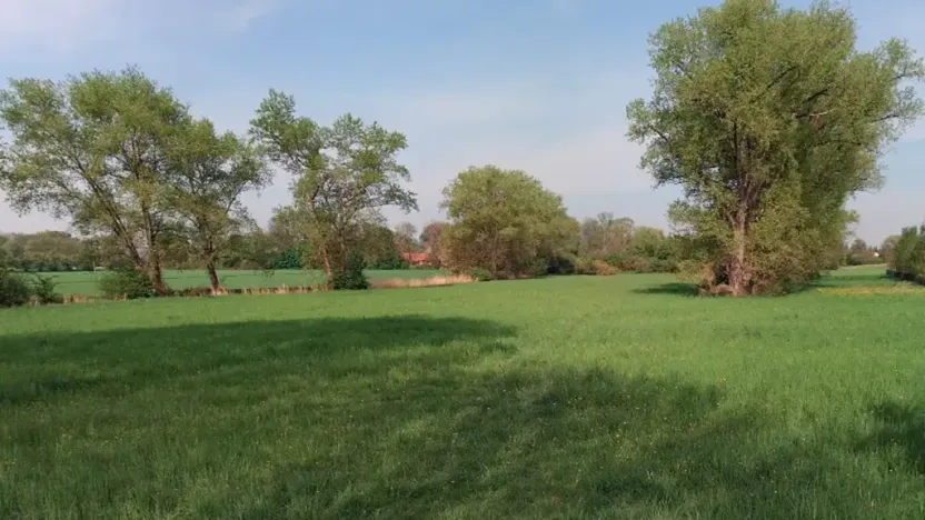 Prodej pole, Kostomlaty nad Labem, 2993 m2