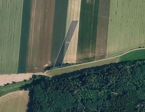 Prodej pole, Domamil, 9549 m2