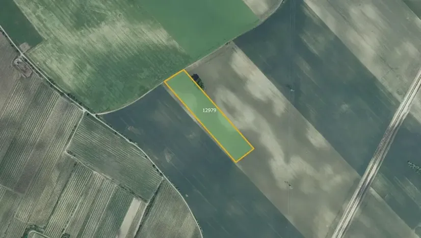 Prodej pole, Mutěnice, 26029 m2